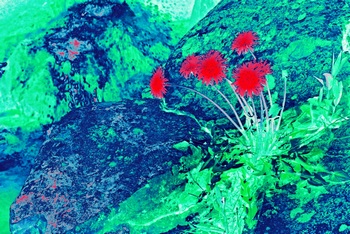 L 061B